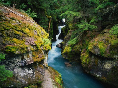 Buy Avalanche Creek at AllPosters.com
