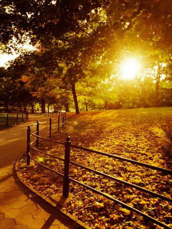 Sunrise in Central Park
