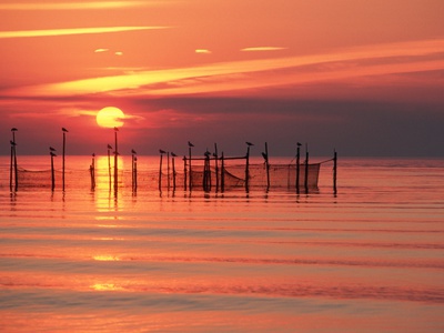Buy Silhouetted Fishing Net at Sunset at AllPosters.com