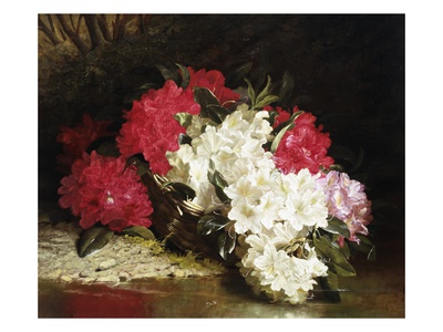 Azaleas Poster