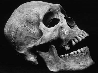 Human Skull by Brett Weston