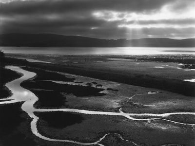 Tomales Bay, 1955