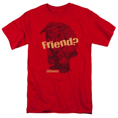Labyrinth - Ludo Friend