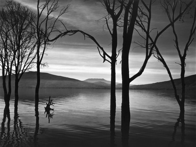 Buy Lake Patzcuaro, Mexico 1976 at AllPosters.com
