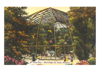 Bird Cage in Zoo, St. Louis, Missouri