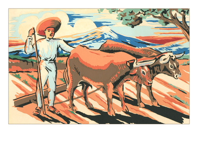 Peon with Yoked Oxen, Mexico