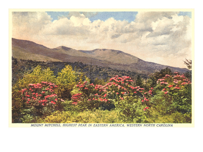 Mt. Mitchell, Western North Carolina