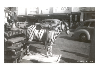 Tijuana Faux Zebra