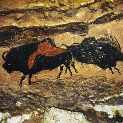 Cave Art: Bison