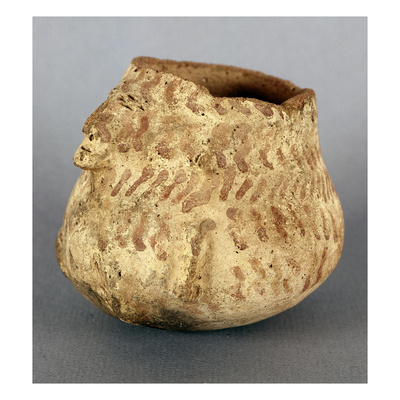 Anasazi Bowl