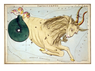 Constellation: Capricorn