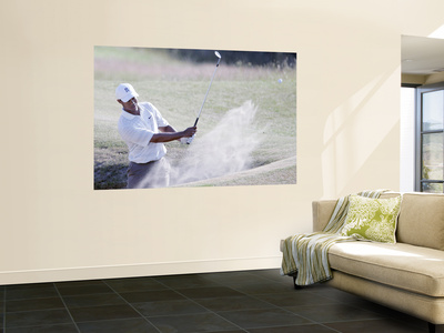 Buy Tiger Woods at AllPosters.com