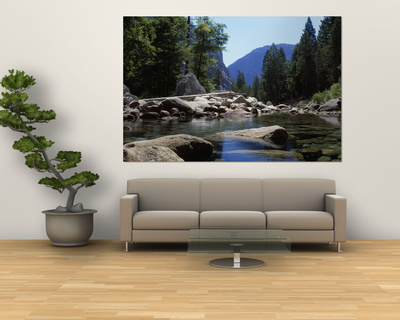 Mountain Behind Pine Trees, Tenaya Creek, Yosemite National Park, California, USA Posters