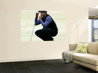 Buy Tiger Woods at AllPosters.com