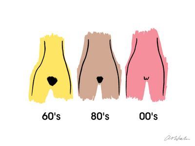 Evolution of the Muff