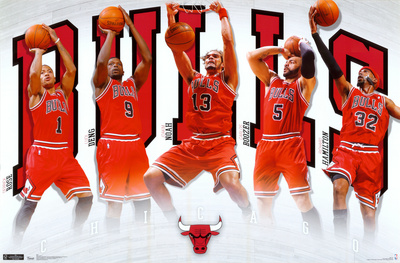 Buy Bulls - Team 2011 at AllPosters.com