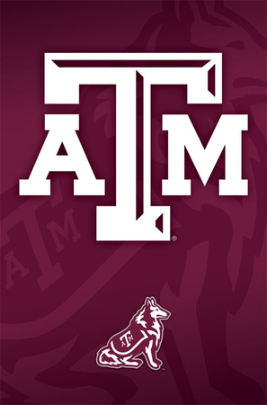 Buy Texas A&M at AllPosters.com