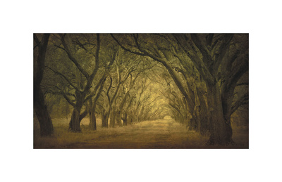 Buy Evergreen, New Alley, Right Side at AllPosters.com