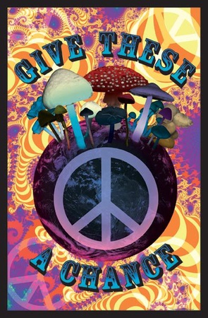 Buy Mushroom Planet at AllPosters.com