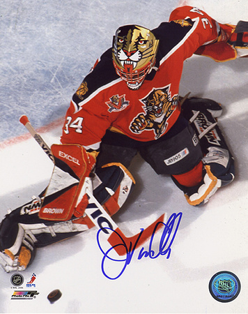 Buy John Vanbiesbrouck Panthers Overhead Save Photo at AllPosters.com