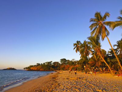 Palm Trees on Sandy Beach of Andilana on Nosy Be, Madagascar, Indian Ocean, Africa