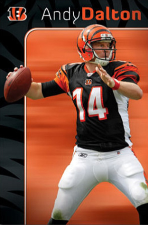 Buy Cincinnati Bengals Andy Dalton at AllPosters.com