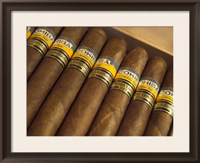 Close-Up of Limited Edition Cigars in a Box, Cohiba, Havana, Cuba, West Indies, Central America Posters