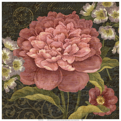 Maribel II