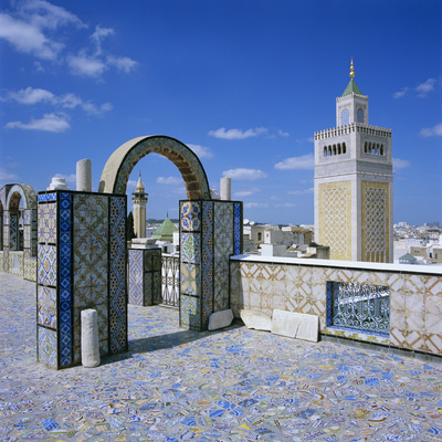 View over City and Great Mosque from Tiled Roof Top, Tunis, Tunisia, North Africa, Africa