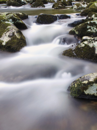 River Teign, Dartmoor National Park, Devon, England, United Kingdom, Europe