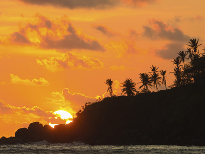 Sunset and Palm Trees on the Western Point of the South Coast Surf Beach at Mirissa, Near Matara, S