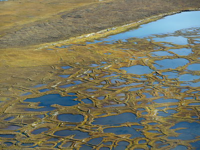 Patterned Ground Polygons and Kettle Ponds on the Coastal Plain Tundra