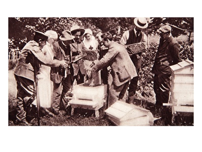 Bee-Keeping Instruction under Lord Eglinton