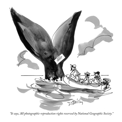"It says, 'All photographic-reproduction rights reserved by National Geogr…" - New Yorker Cartoon