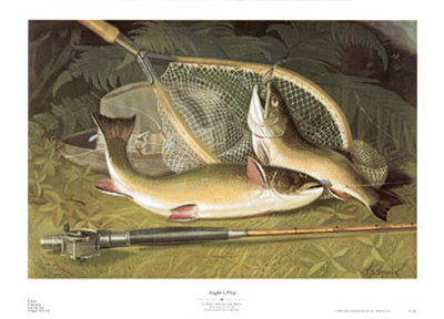 Angler