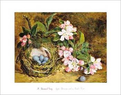 Apple Blossom and a Bird