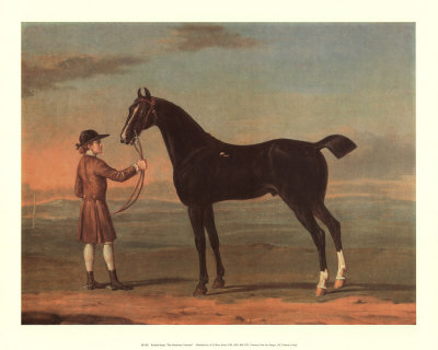 Racehorse Victorius