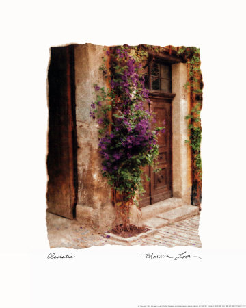Buy Clematis at AllPosters.com