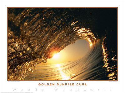 Golden Sunrise Curl