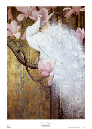 Peacock with Magnolia