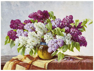 Lilac