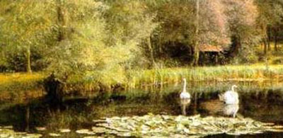 Lily Pond