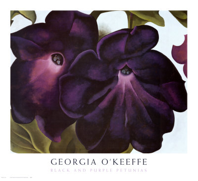 Black and Purple Petunias