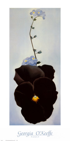 Pansy, 1926