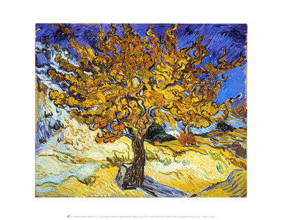 Mulberry Tree, c.1889 Art Print