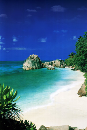Tropical Beach