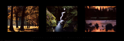 Buy Images from Nature II at AllPosters.com