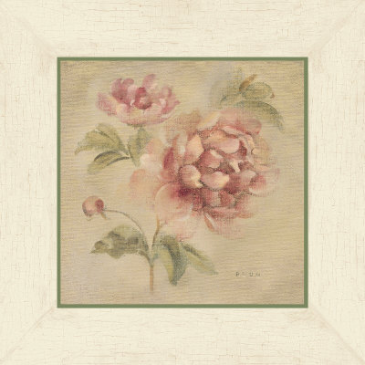 Coral Rose on Antique Linen