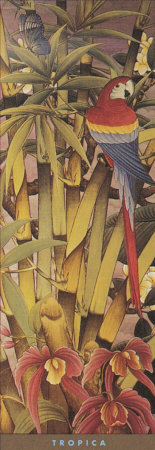Tropica I