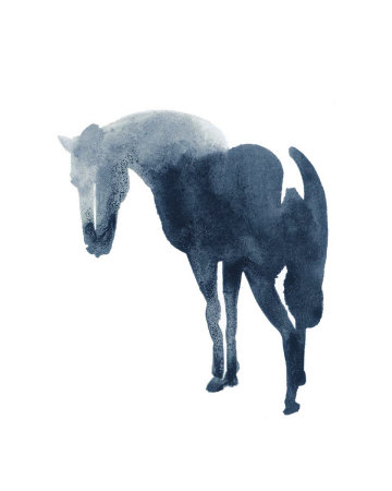 Chinese Horse